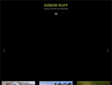Tablet Screenshot of gaborruff.com